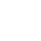 step_icon