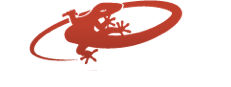 Lizard Skins